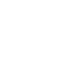 Accessibility Icon
